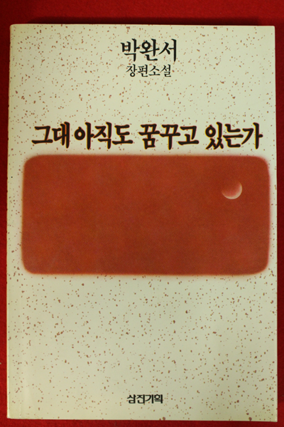 그대 아직도 꿈꾸고 있는가, 你還在做夢, While You Were Dreaming