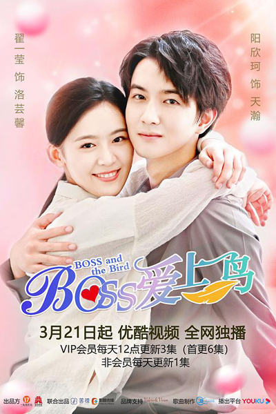 Boss爱上鸟, Boss愛上鳥, 魔幻天使中国版, 霸道总裁爱上鸟, 魔幻天使中國版, 霸道總裁愛上鳥, Mo Huan Tian Shi Zhong Guo Ban, Ba Dao Zong Ai Shang Niao, Boss Ai Shang Niao, Boss & the Bird, Босс и пташка