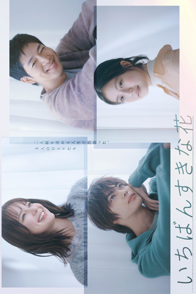 いちばんすきな花, いちばんすきなはな, Ichiban Suki na Hana, My Beloved Flower, My Favorite Flower