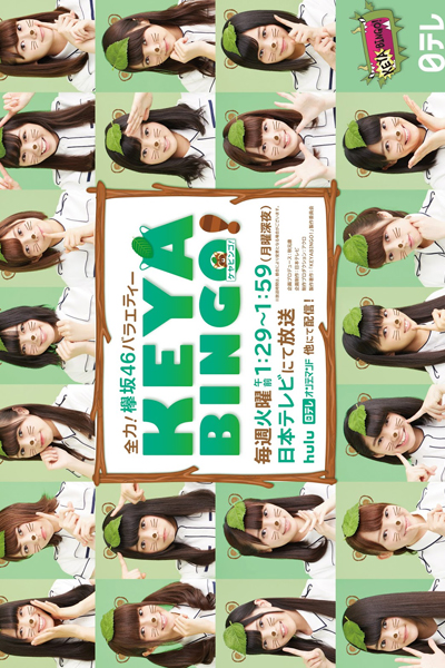 ケヤビンゴ!, KeyaBingo! Season 1, KeyaBingo! S1, KeyaBingo! 1