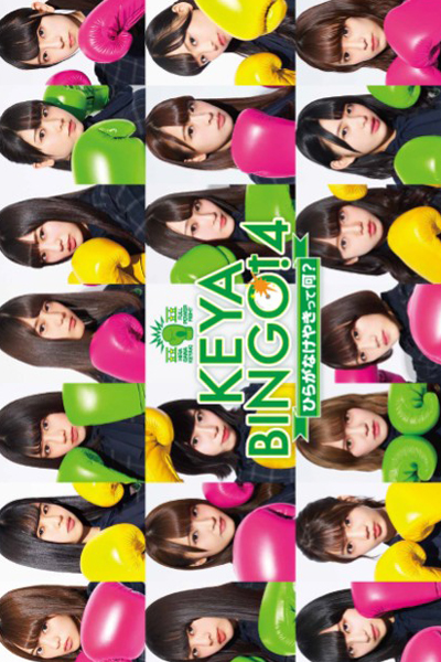 ケヤビンゴ!, KeyaBingo! Season 1, KeyaBingo! S1, KeyaBingo! 1