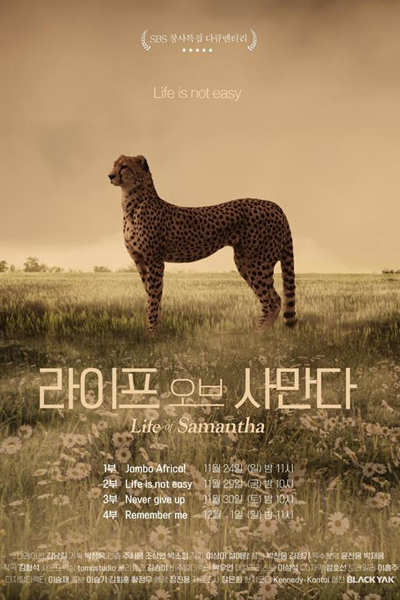 라이프 오브 사만다