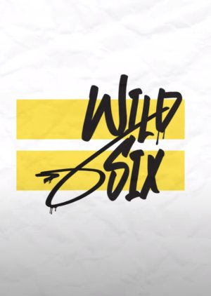 오버 2PM 와일드 식스