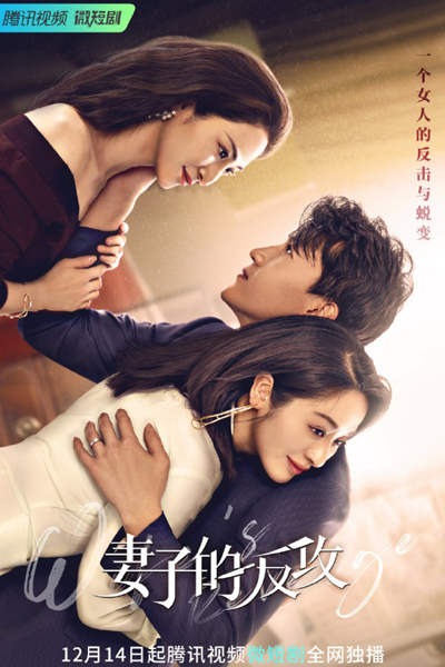 妻子的反攻, Qi Zi De Fan Gong